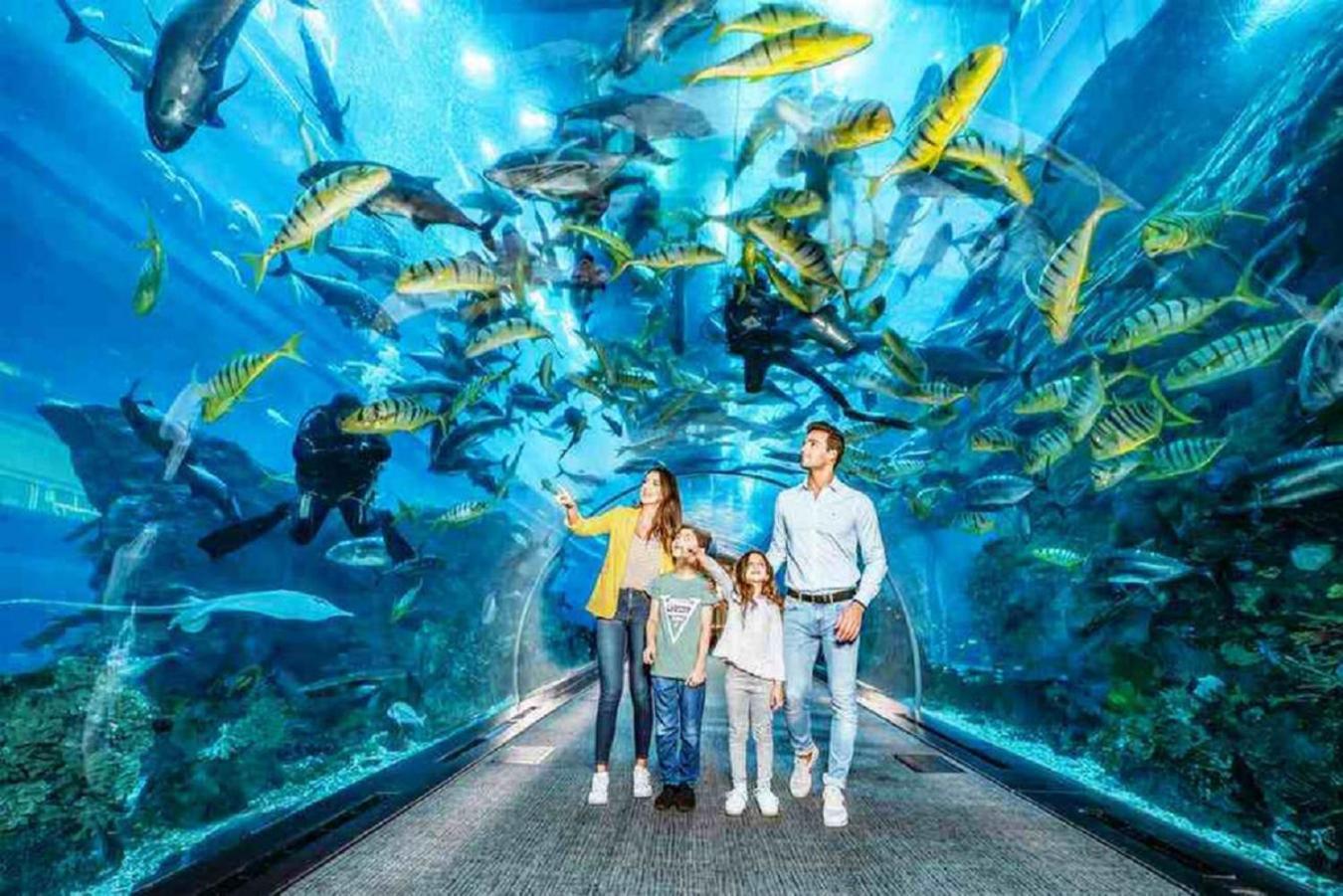 Acquario 11 Appartement Genua Buitenkant foto